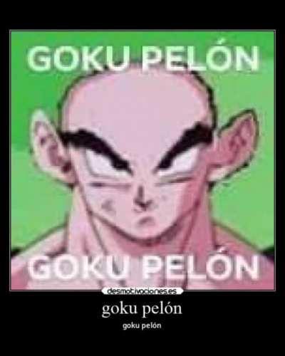 MAS FASES CHINGONAS DE GOKU