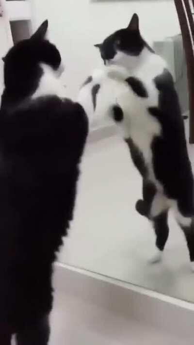 And there goes any hope of my sleeping tonight-