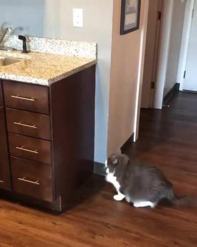 Back to the drawing board