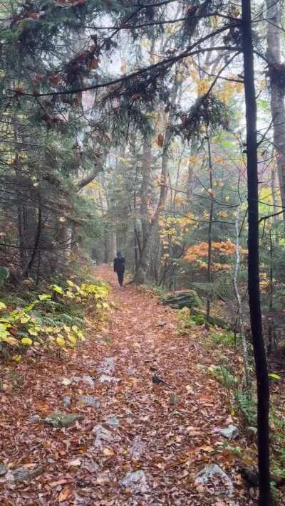 Rainy Hike in the Berkshires, MA