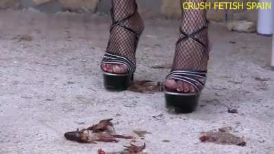 CFS 🇪🇸💃👠