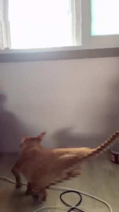 terrfufila/terraria also this is a original video by me now laugh!