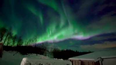 Northern lights