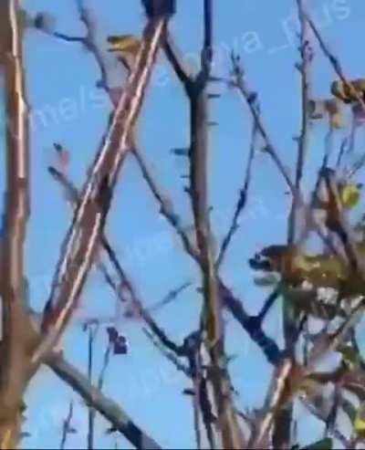 Ukrainian Air Defense missile chasing down a Russian Cruise Missile 