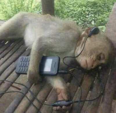 no aparecí en el vídeo del moai....