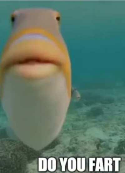 This pic goes hard asf feel free to save🔥😩🥶🤯🔥💀