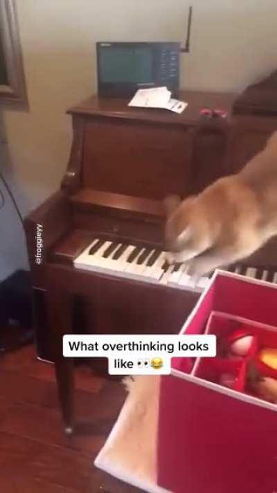 This looks as stressful as it sounds