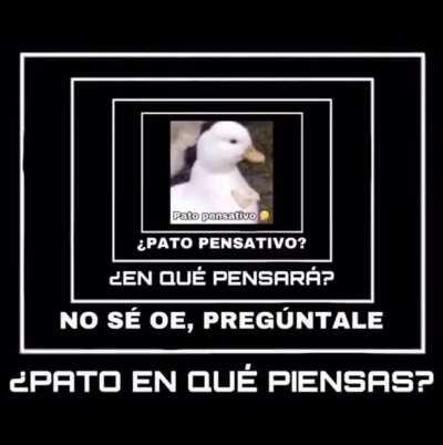 Shitpost 226 pato pensativo