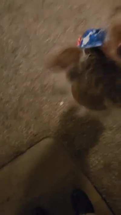 13 year old boingies!!!