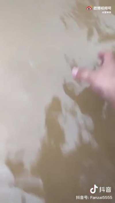 赶海丰收的荷兰人