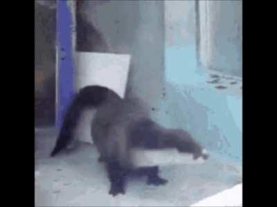 Otter to the Limit