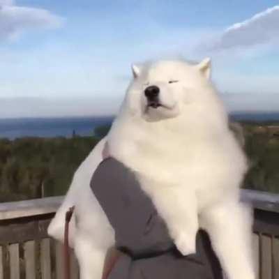 Majestic cloud