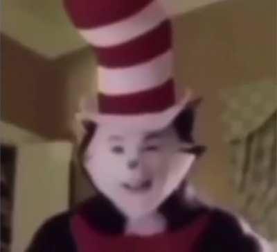 Cat& the hat is crazy😳