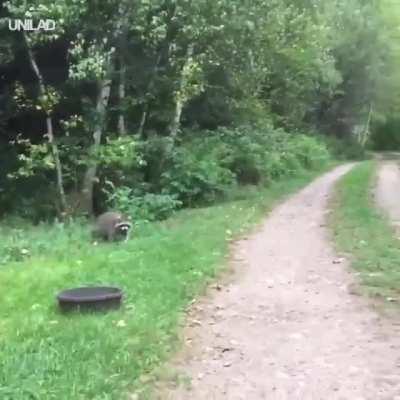 I have found my true calling...