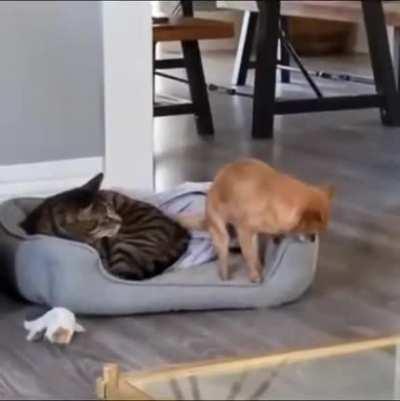 Softly and carefully