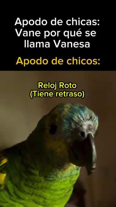 Otro aporte a ver si Carola decide verlo 🥲