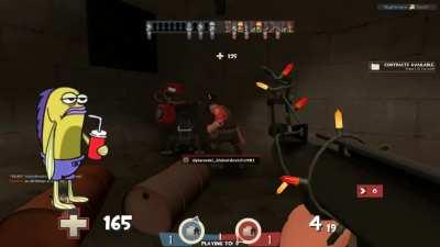 Hey Pal, Did you just blow in from stupid town?