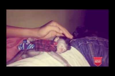 Sequência de partes da vida de smurf do muca