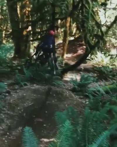 WCGW jumping through a narrow gap on a mountain bike