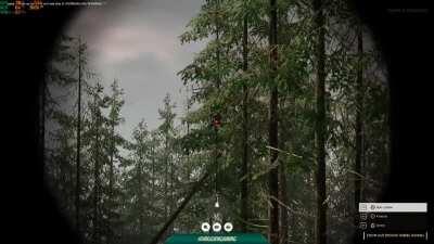 Found some Ewoks in Hurtgen forest