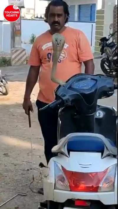 The most unexpected place to find a snake!