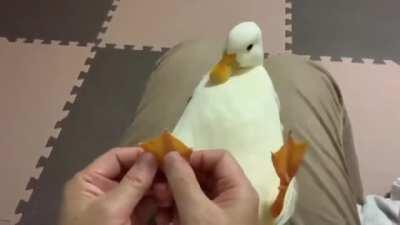 Duck foot massage