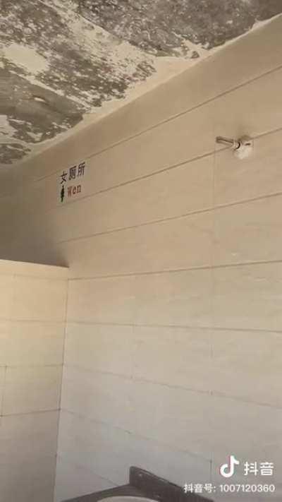 So which gender are you again?