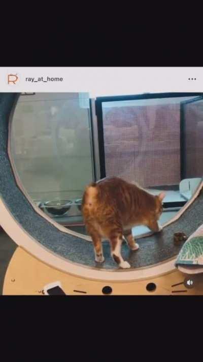 I wouldn't want to be the one cleaning that up...