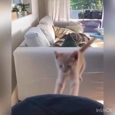 Easter weekend lockdown special