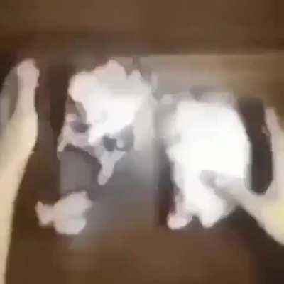 UUUUIIIIIAAAAHHHGH!!!