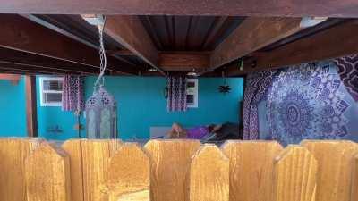 Look on the other side of the fence! [gif]