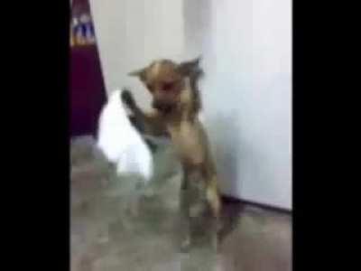 We can hate each other again! 🥳