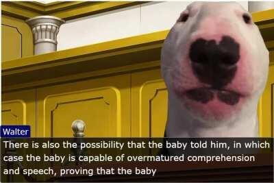 le very fair trial has arrived (alternate ending - written by the people who commented on the first version)