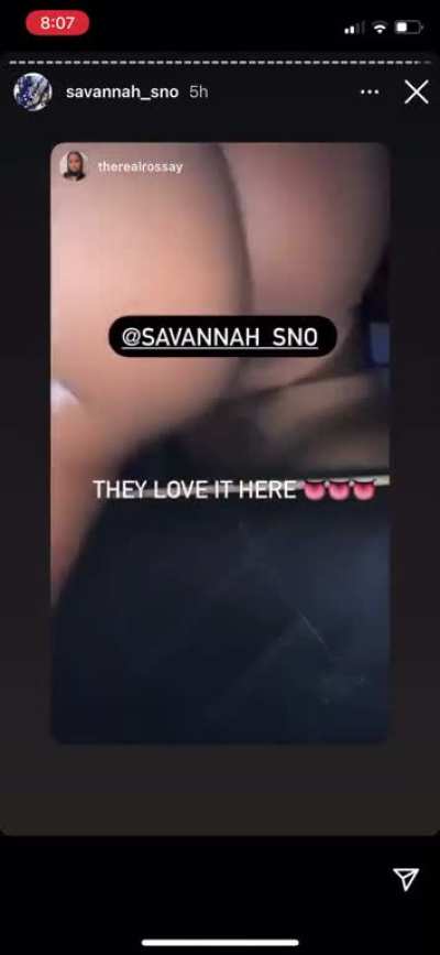 El ano rico de savanna sno