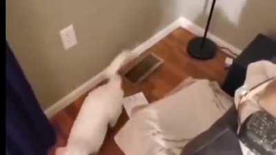 Agora tudo faz sentido