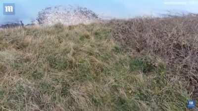 Base jumper throws himself off a cliff, half way through only just realised his parachute wasn’t working properly...
