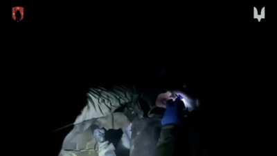 Ukrainian soldiers of the 6th Ranger Regiment (SOF) conducted special operations against the regular troops of North Korea in the Kursk region of Russia. During a quick contact, SSO operators took out 25 North Koreans. March 2025, publ. 24.04.2025