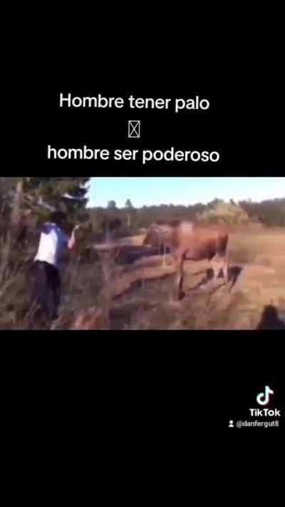 Así nos convertirmos en la especie dominante 
