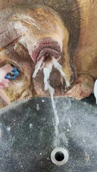 Hole in the wall - found at a Costa Rican farm