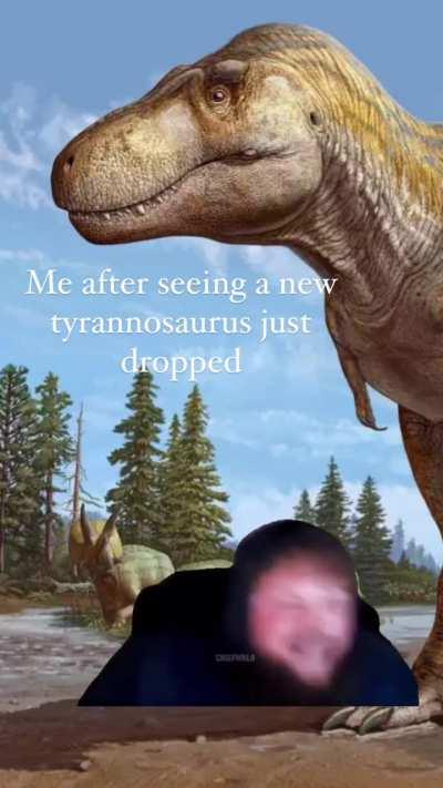 Pachycephalosaurus still Solo's easily.