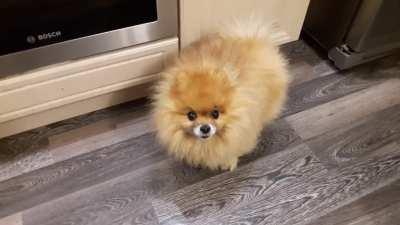 Фаня идёт на хуй,в смысле на место!