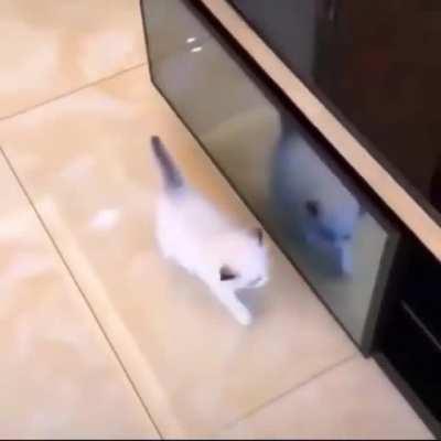 Criminal activity sighted!!