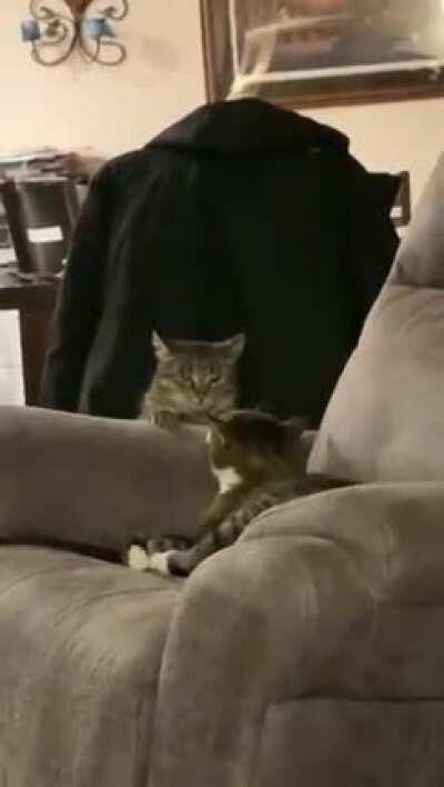 Then again, maybe not