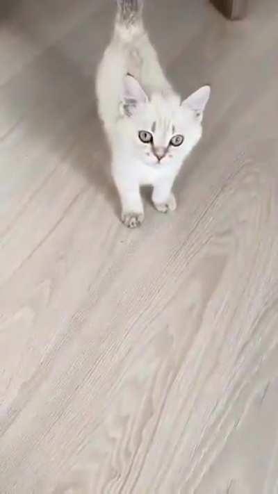 aaaaa... A҉҉̦̣̤͔̟̩̋̿̏ͦ̈́̍͟͠A҉҉̦̣̤͔̟̩̋̿̏ͦ̈́̍͟͠A҉҉̦̣̤͔̟̩̋̿̏ͦ̈́̍͟͠A҉҉̦̣̤͔̟̩̋̿̏ͦ̈́̍͟͠A҉҉̦̣̤͔̟̩̋̿̏ͦ̈́̍͟͠A҉҉̦̣̤͔̟̩̋̿̏ͦ̈́̍͟͠