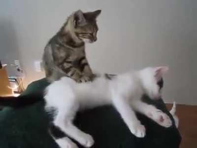 At The Massage Purlor