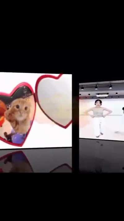 Life is just like a movie, I've just seen my boy ratatouille.