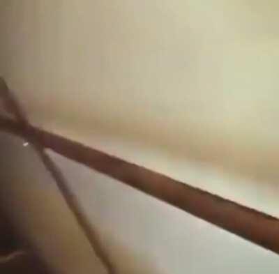 A heart-warming welcome