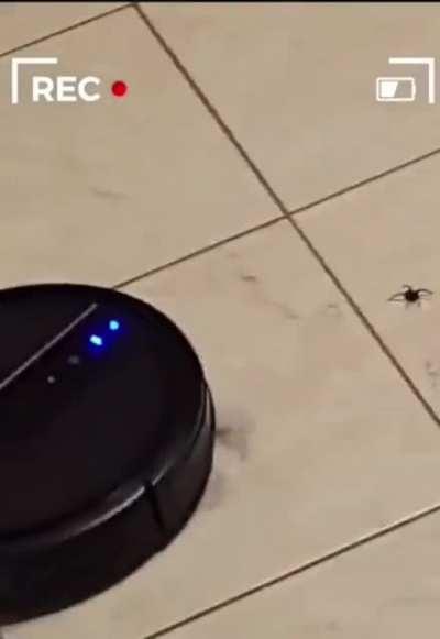 New dbd chapter leak