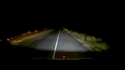 Almost hit a cow last night