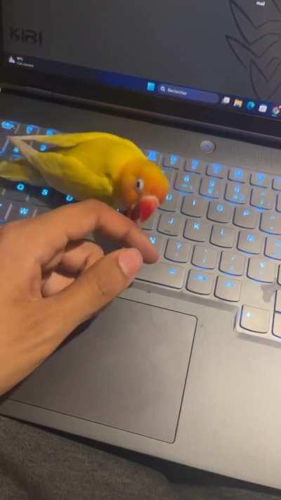 Can anyone pls explain this behavior?